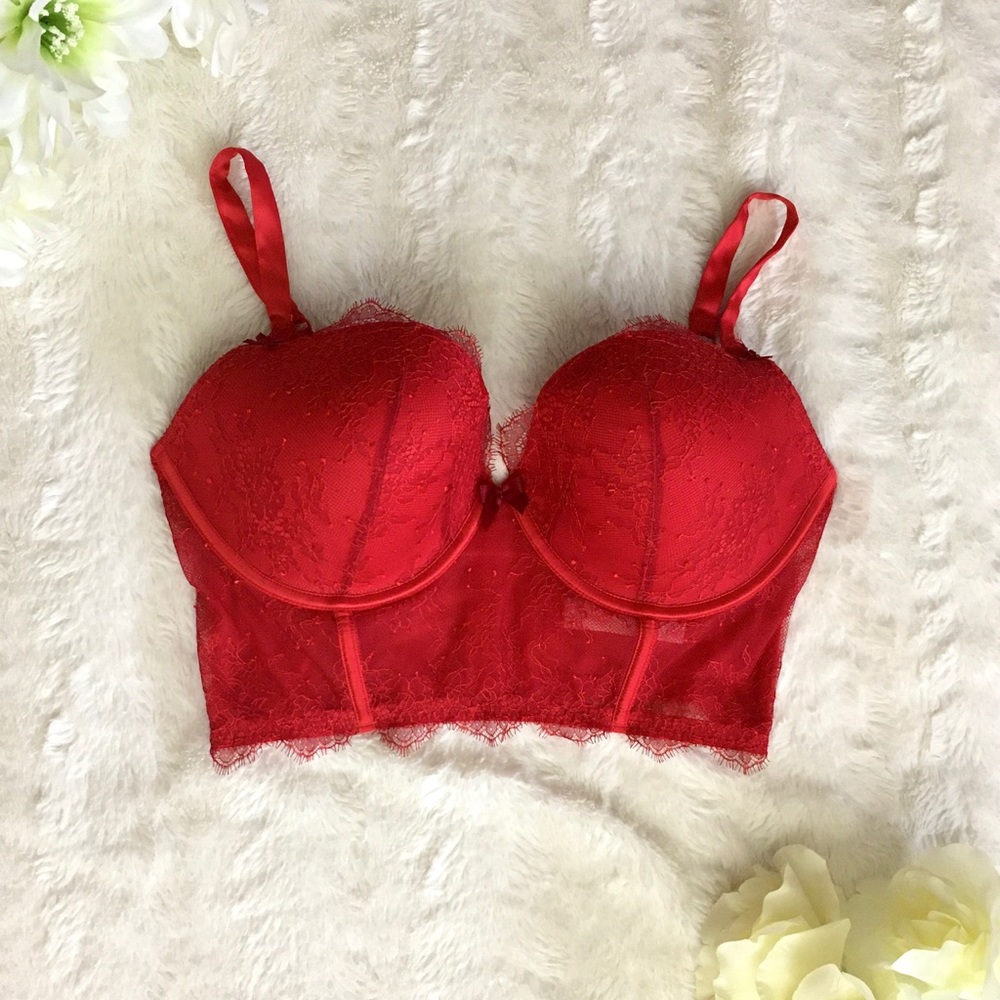 Long Lined Very Sexy Demi Bra Top